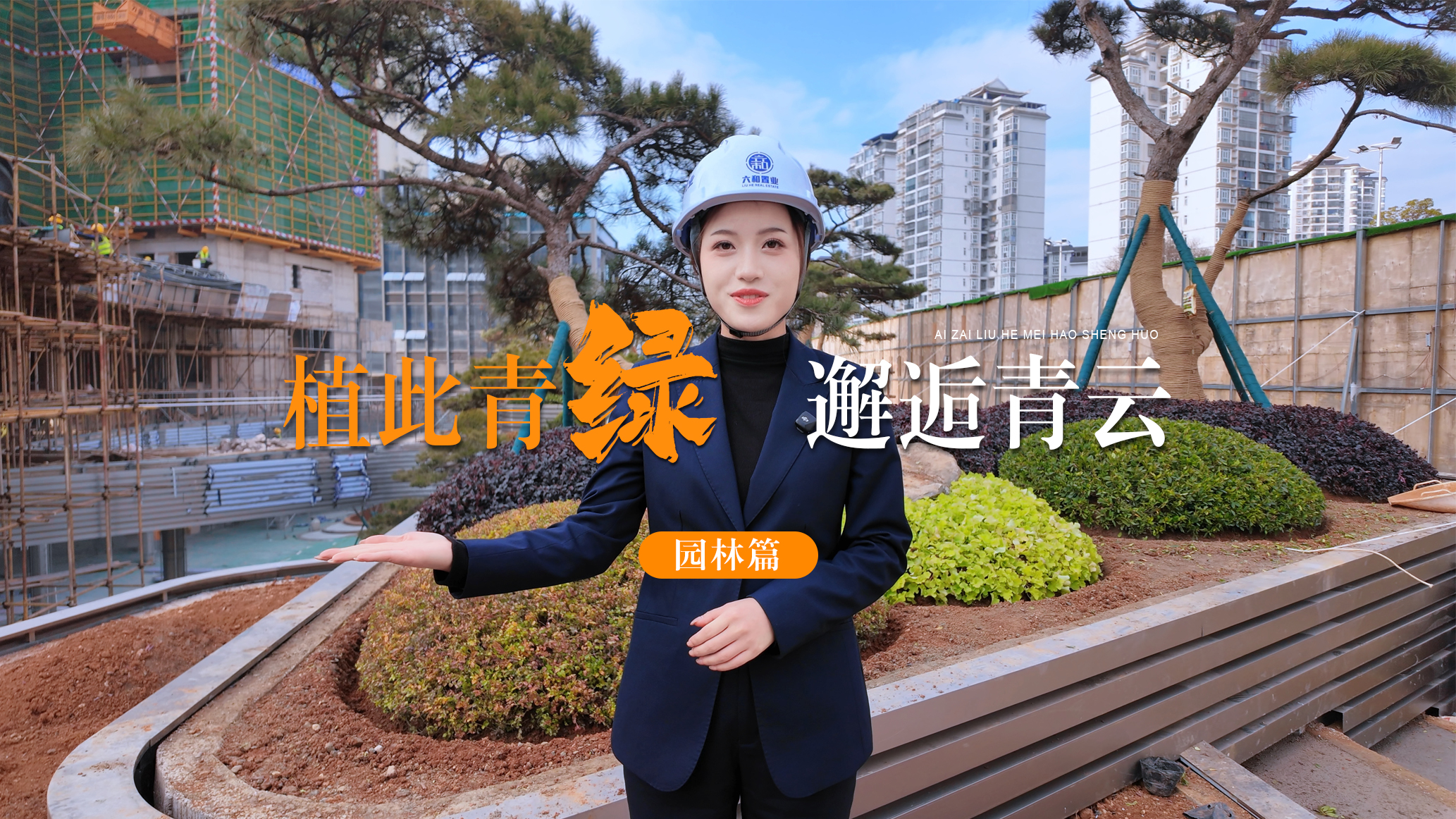 植此青绿 邂逅青云