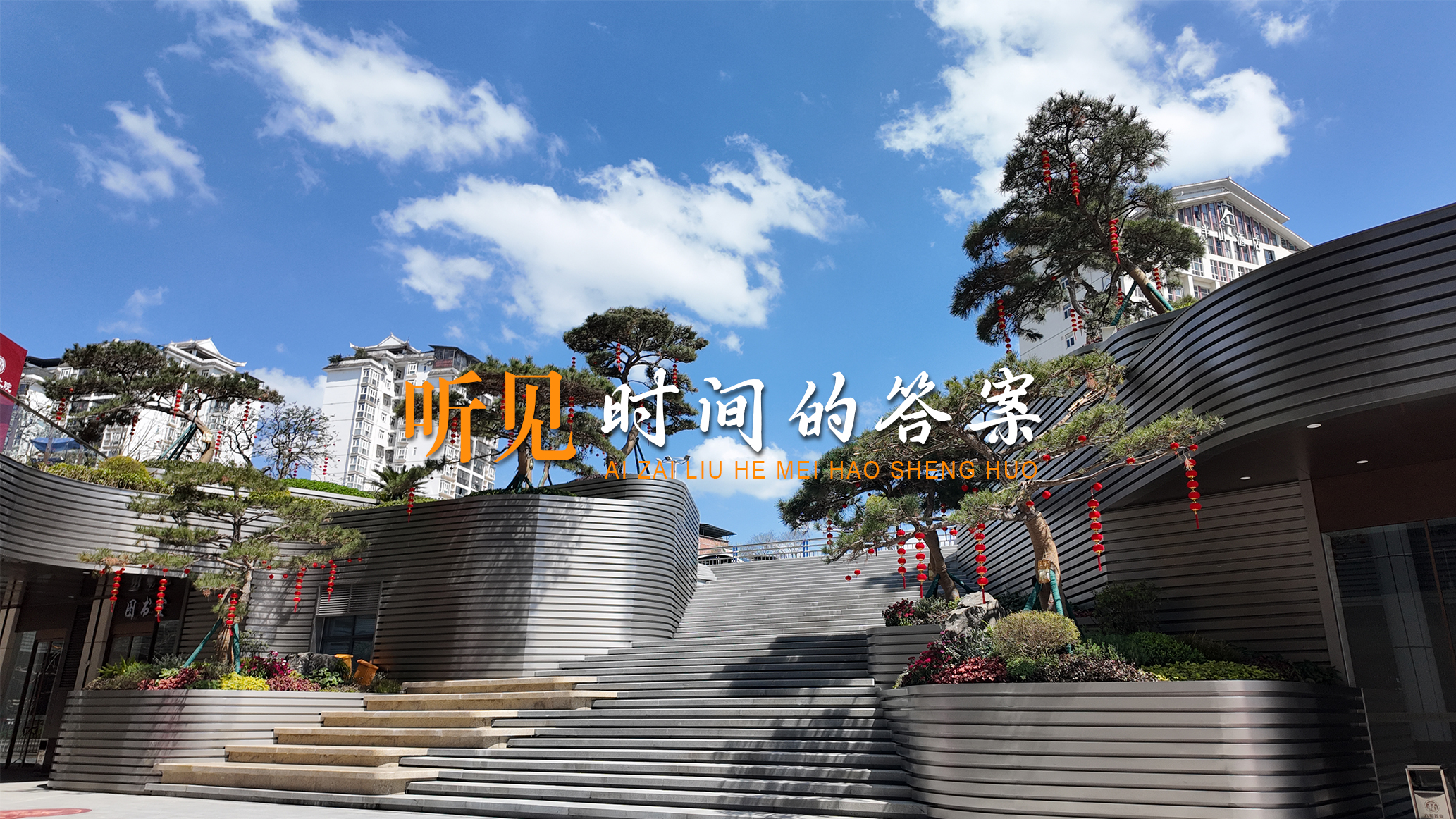 一株黑松，跨越山河，奔赴青云； 十二松影，守护家园，沉淀岁月。 它是时间的礼物，也是六和给你的专属承诺。 听见时间的答案，遇见理想的青云之家。